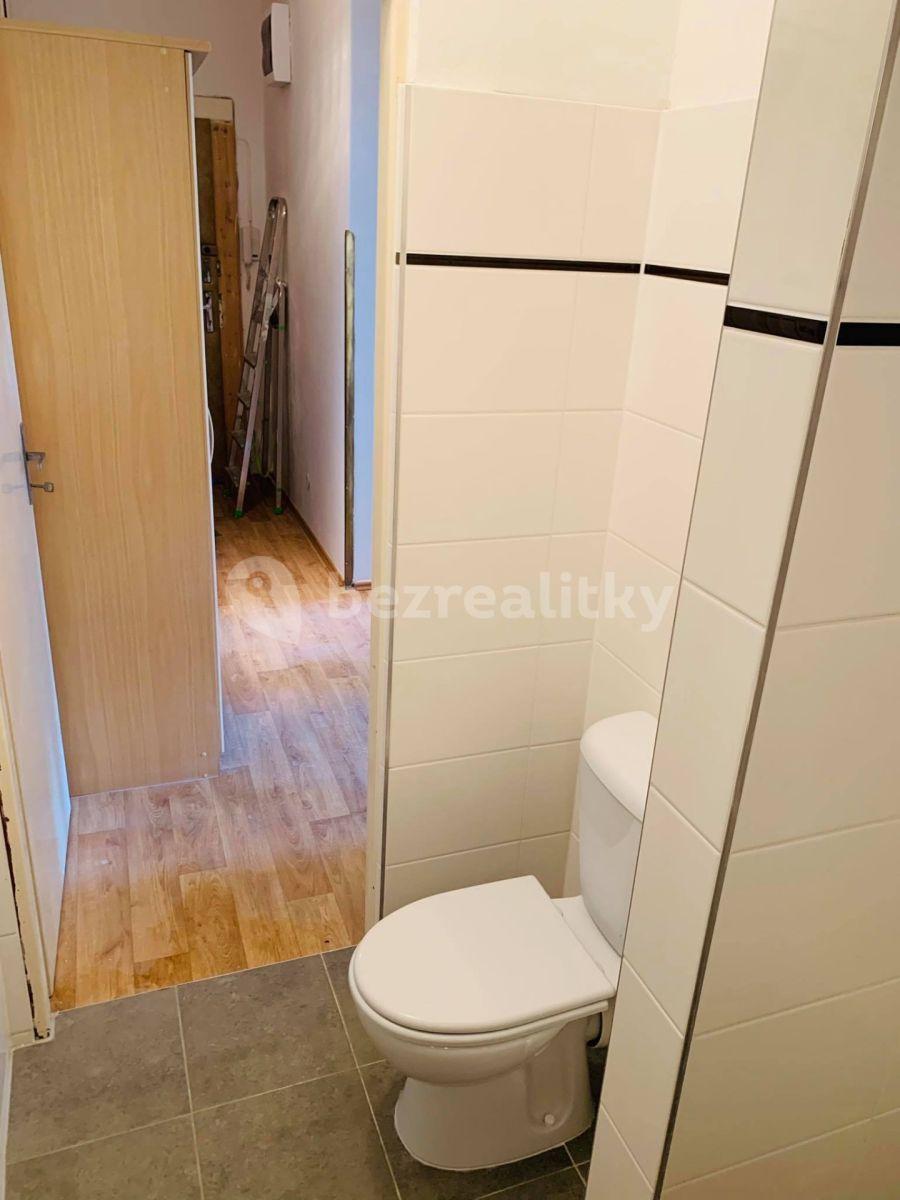 Pronájem bytu 2+kk 46 m², Ruská, Praha, Praha