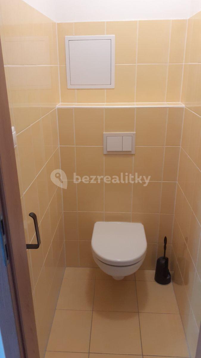 Pronájem bytu 2+kk 45 m², V Honech, Klecany, Středočeský kraj