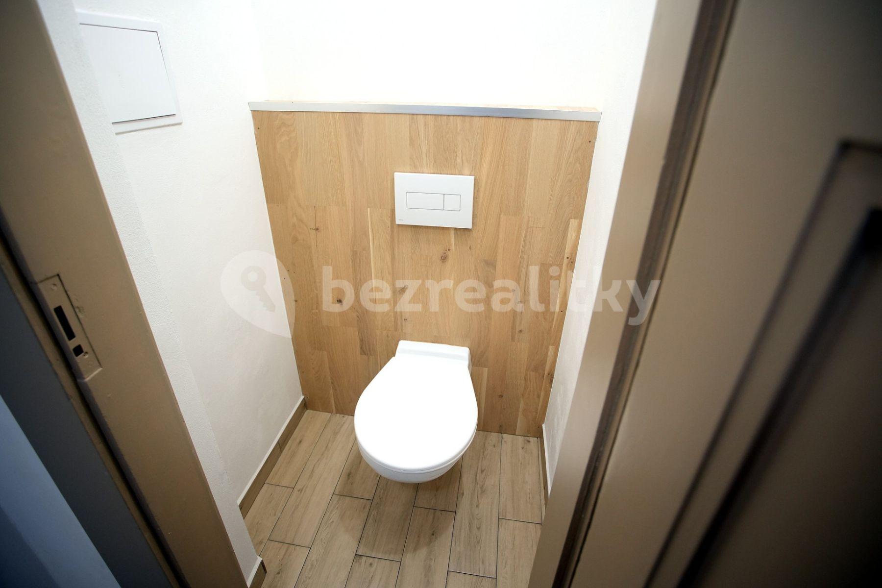 Pronájem bytu 2+kk 42 m², U Vysočanského pivovaru, Praha, Praha