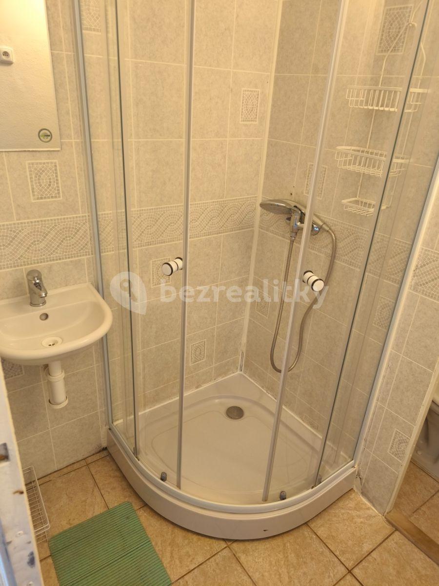 Pronájem bytu 1+kk 20 m², Tenisová, Praha, Praha