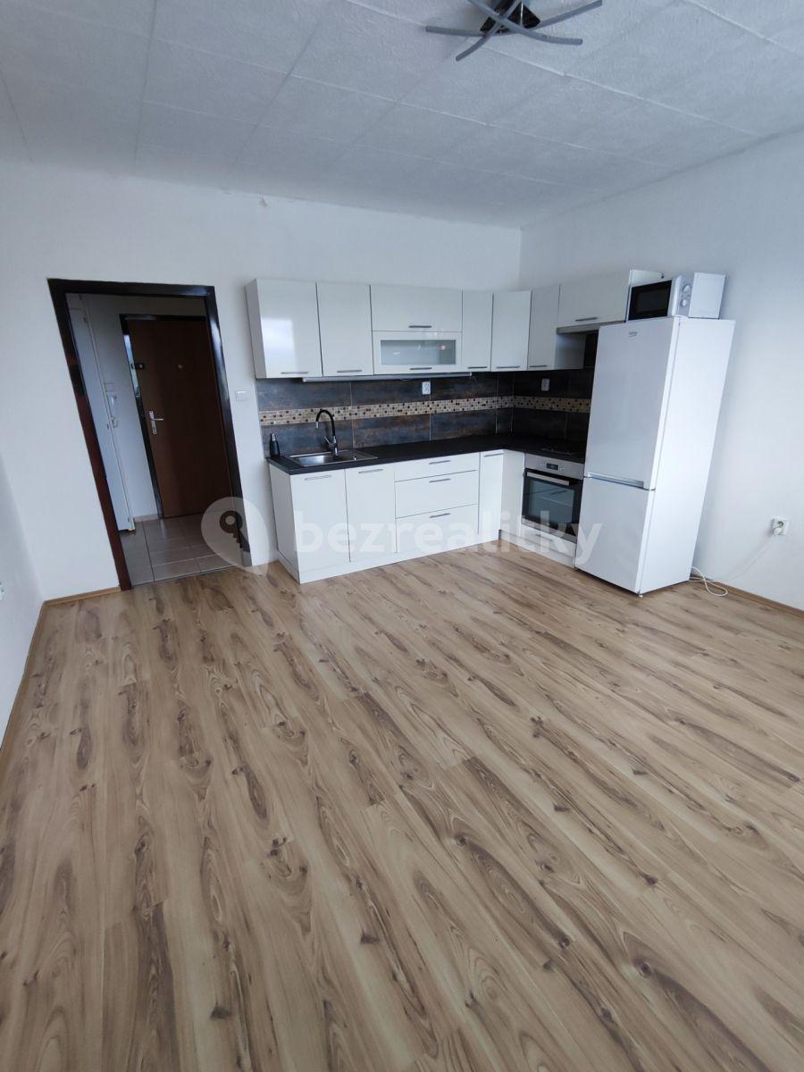 Pronájem bytu 1+1 40 m², Březová, Frýdlant, Liberecký kraj