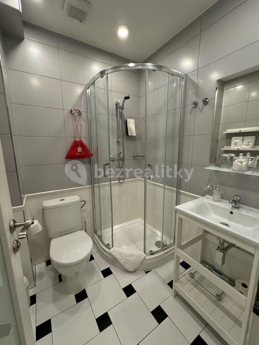 Pronájem bytu 1+kk 20 m², Nuselská, Praha, Praha