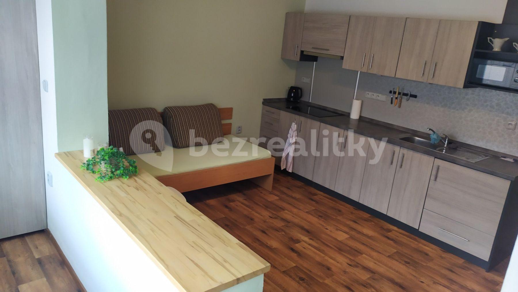 Pronájem bytu 1+kk 32 m², Netušilova, Prostějov, Olomoucký kraj