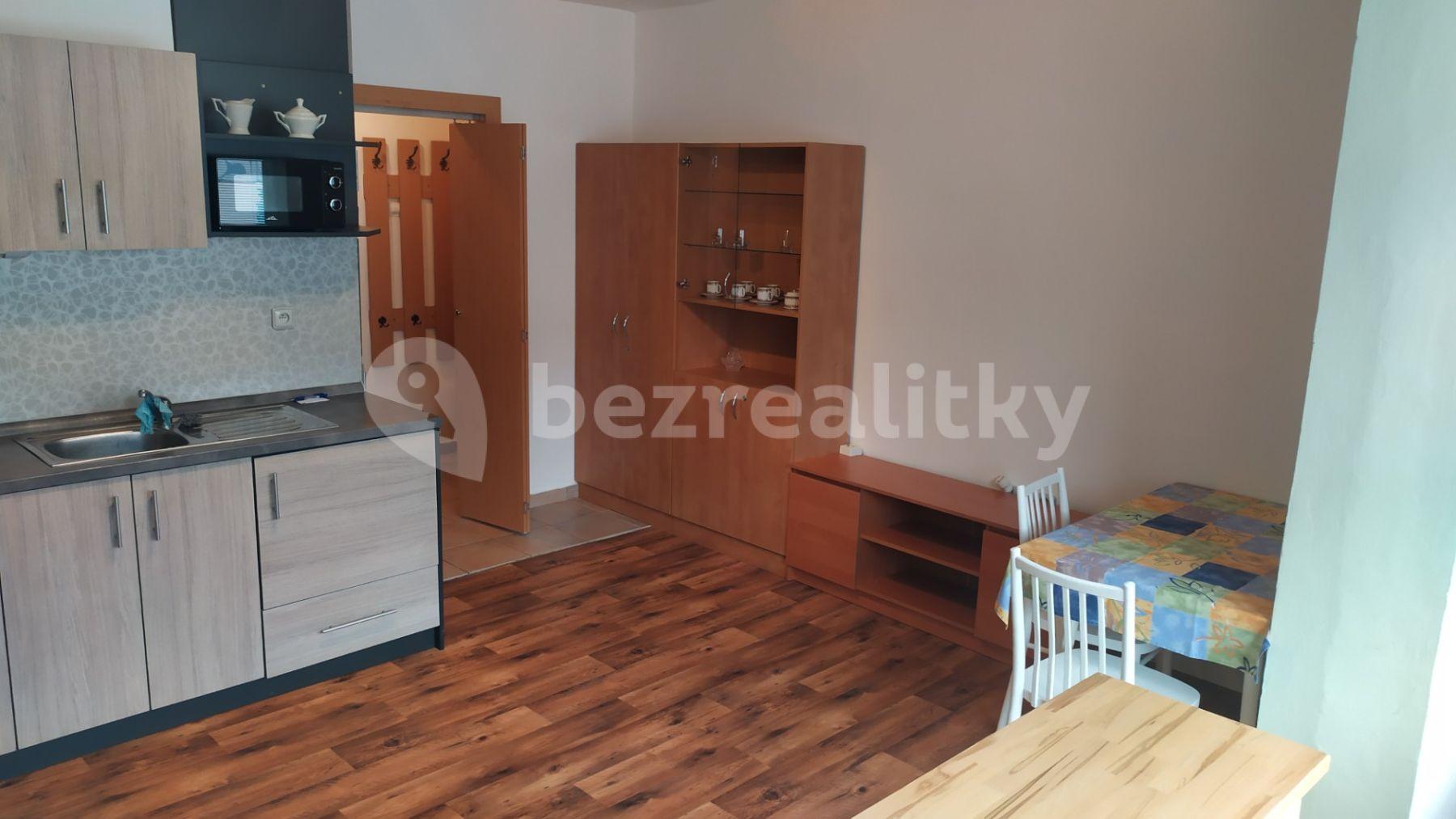 Pronájem bytu 1+kk 32 m², Netušilova, Prostějov, Olomoucký kraj