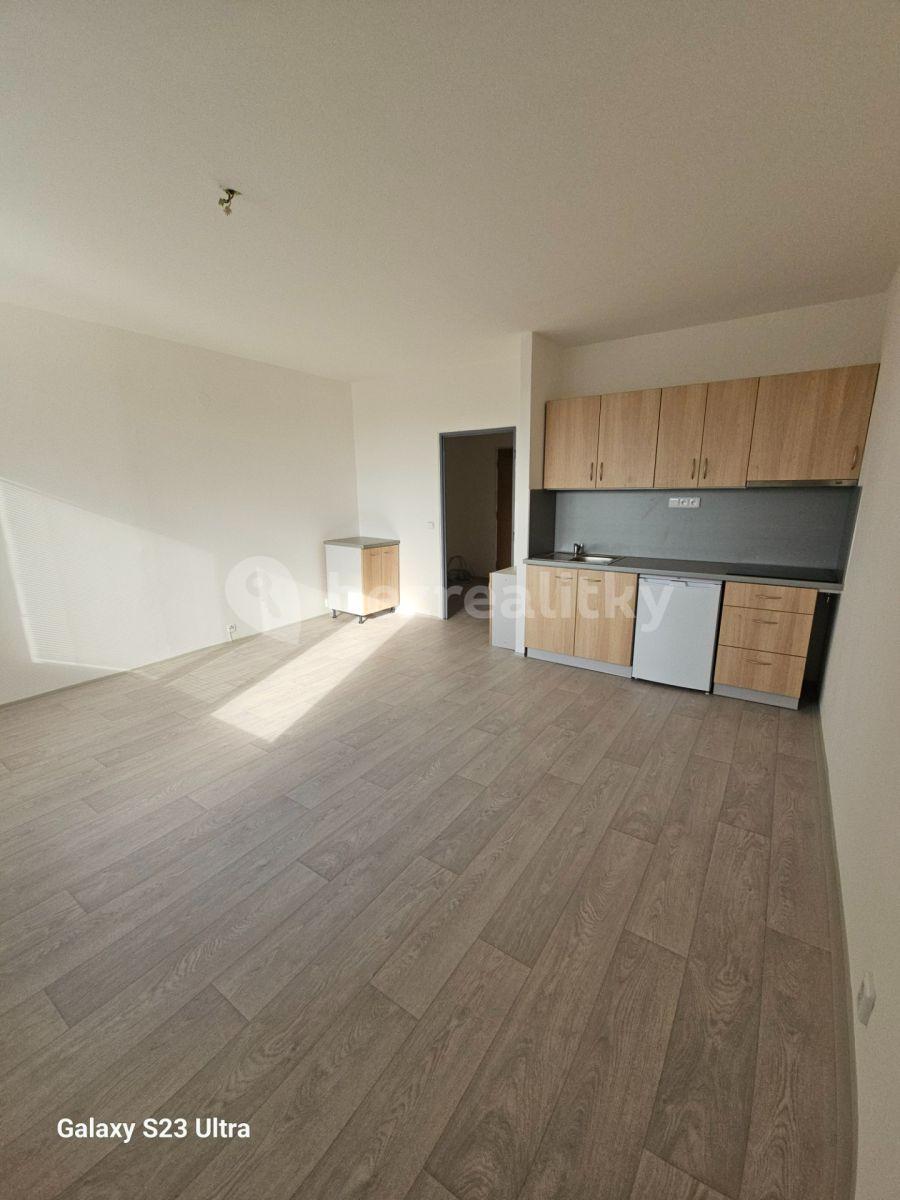 Pronájem bytu 1+kk 33 m², Kubíkova, Brno, Jihomoravský kraj