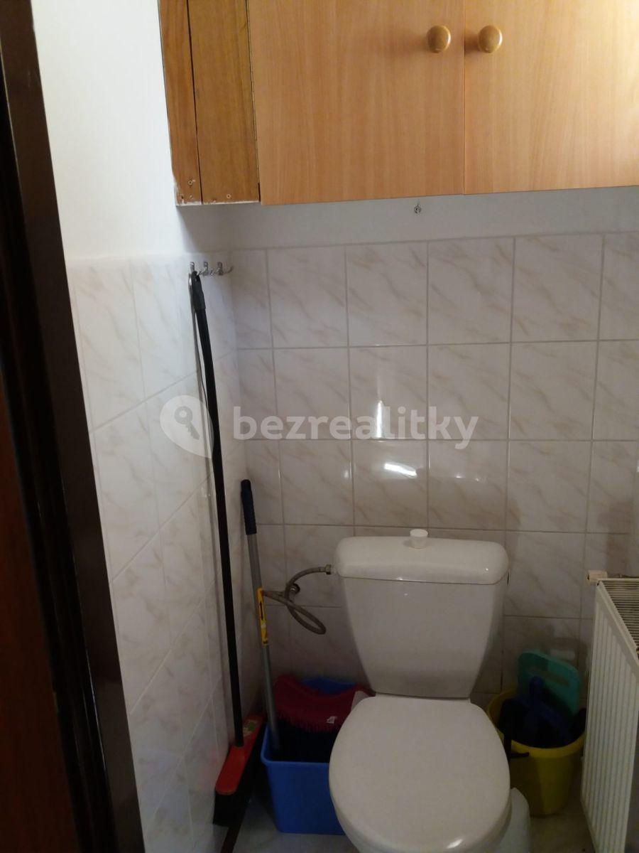 Pronájem bytu 2+kk 48 m², Purkyňova, Děčín, Ústecký kraj