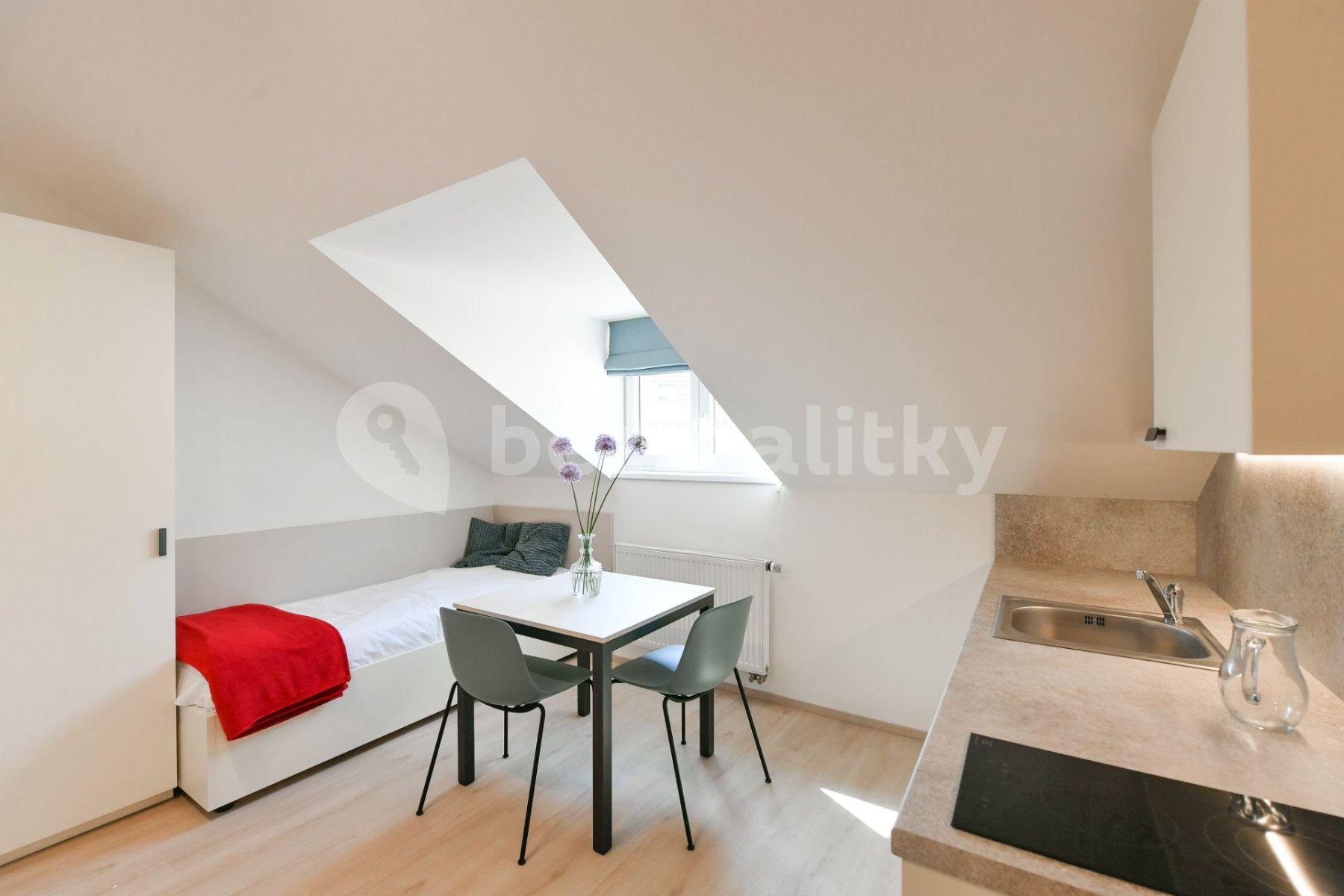 Pronájem bytu 1+kk 18 m², Na Ostrůvku, Praha, Praha