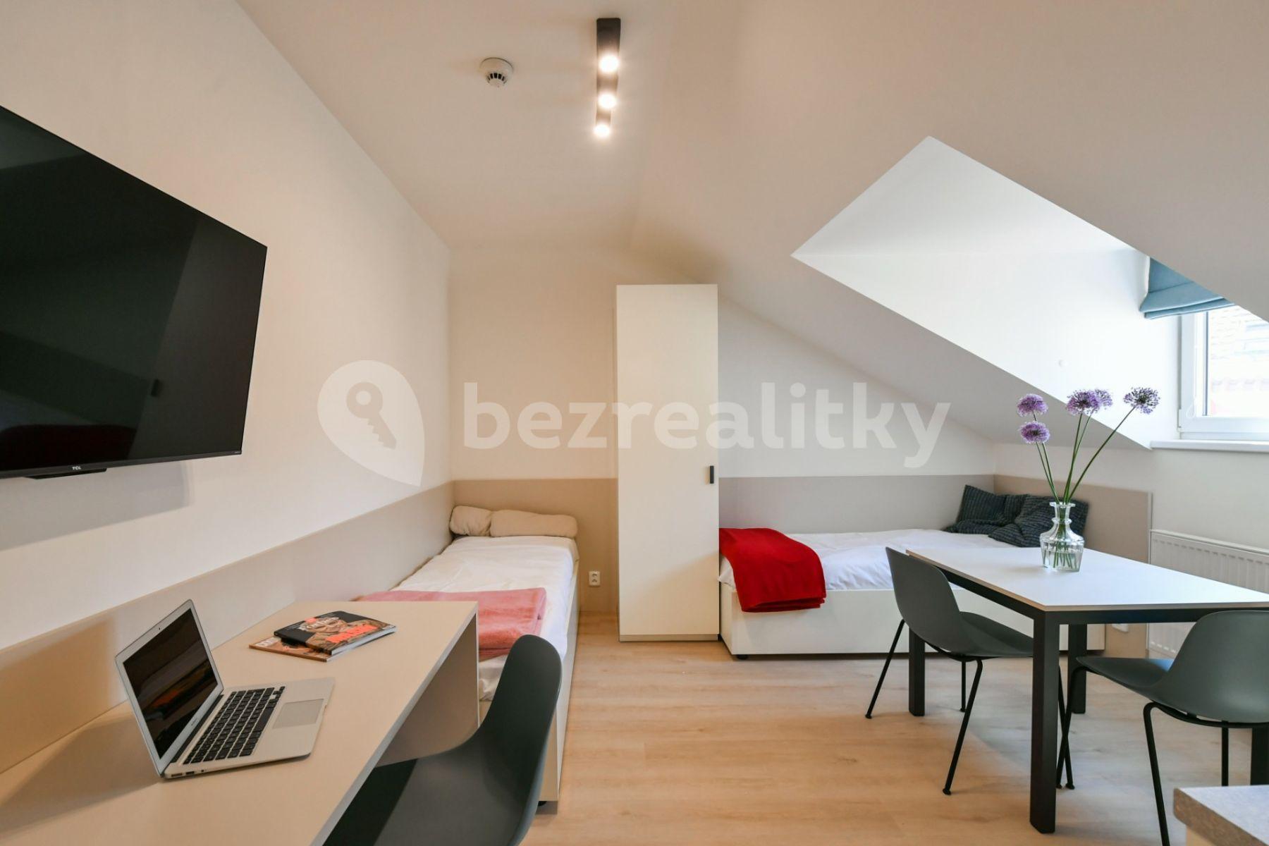 Pronájem bytu 1+kk 18 m², Na Ostrůvku, Praha, Praha