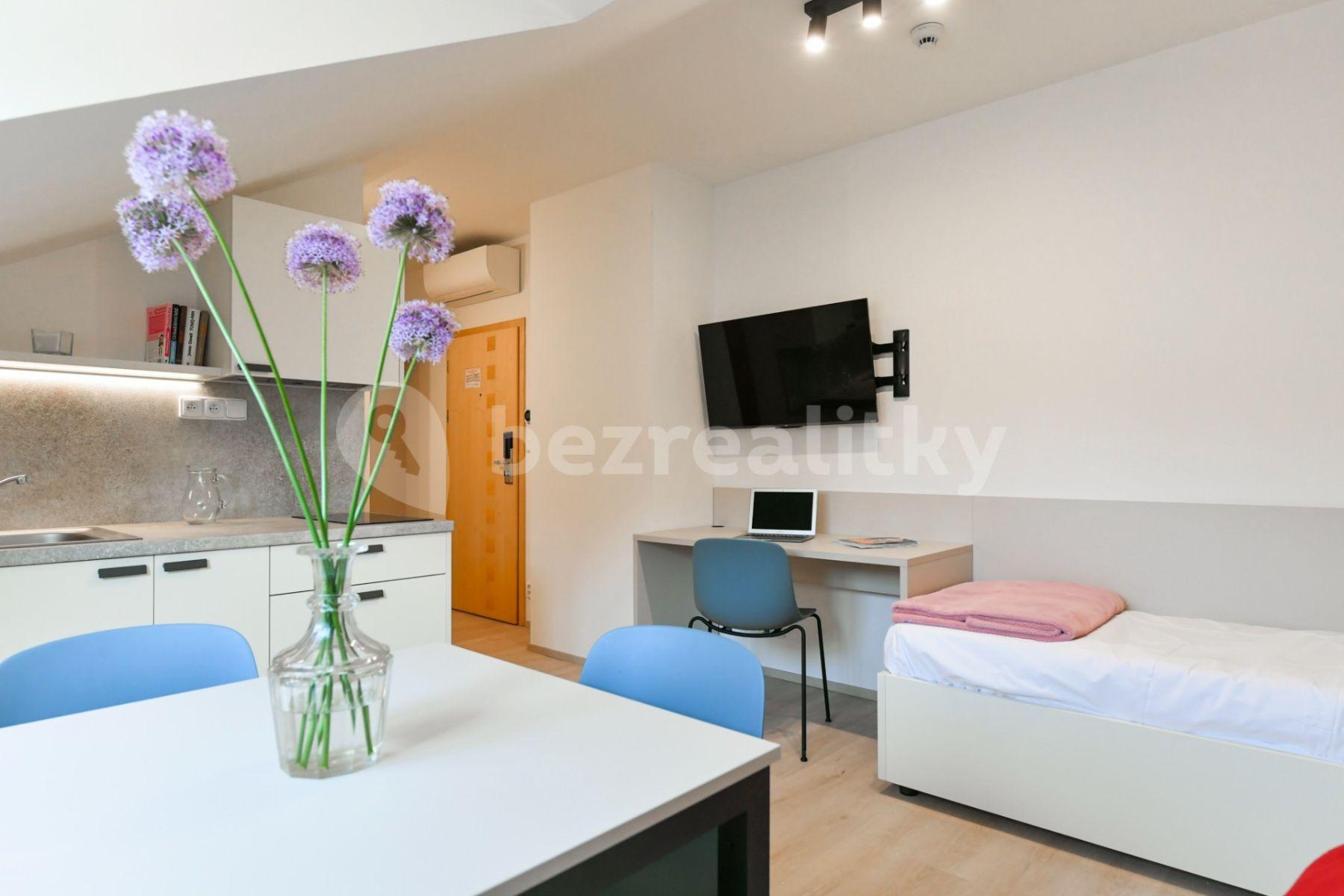 Pronájem bytu 1+kk 18 m², Na Ostrůvku, Praha, Praha