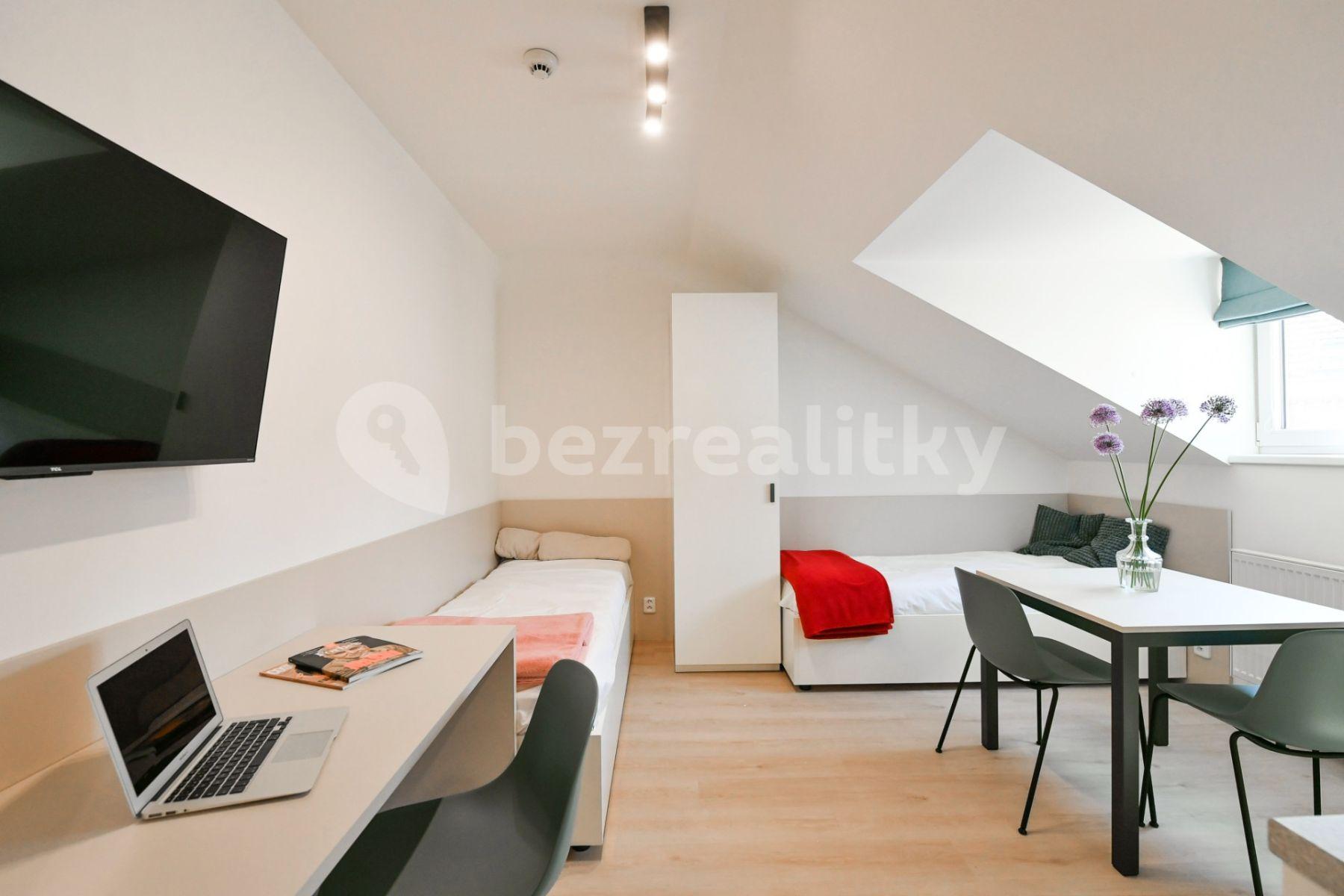 Pronájem bytu 1+kk 18 m², Na Ostrůvku, Praha, Praha