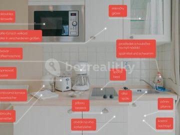 Pronájem bytu 1+kk 20 m², Nuselská, Praha, Praha