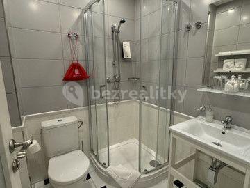 Pronájem bytu 1+kk 20 m², Nuselská, Praha, Praha