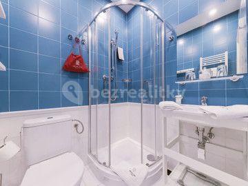 Pronájem bytu 1+kk 20 m², Nuselská, Praha, Praha