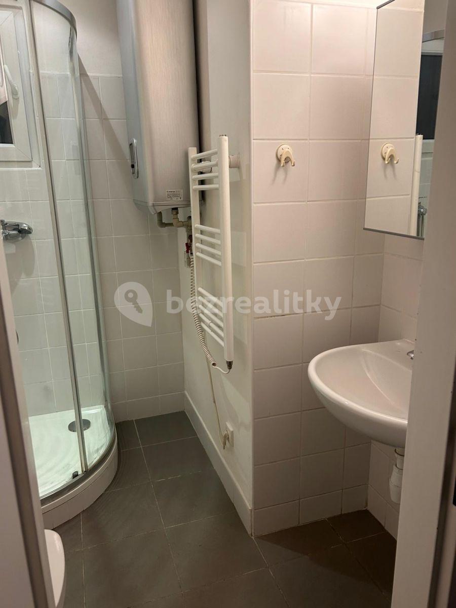 Pronájem bytu Garsoniéra 27 m², Na Úlehli, Praha, Praha