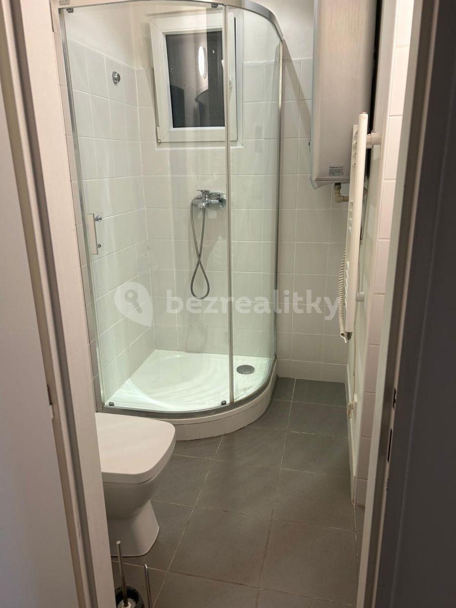 Pronájem bytu Garsoniéra 27 m², Na Úlehli, Praha, Praha