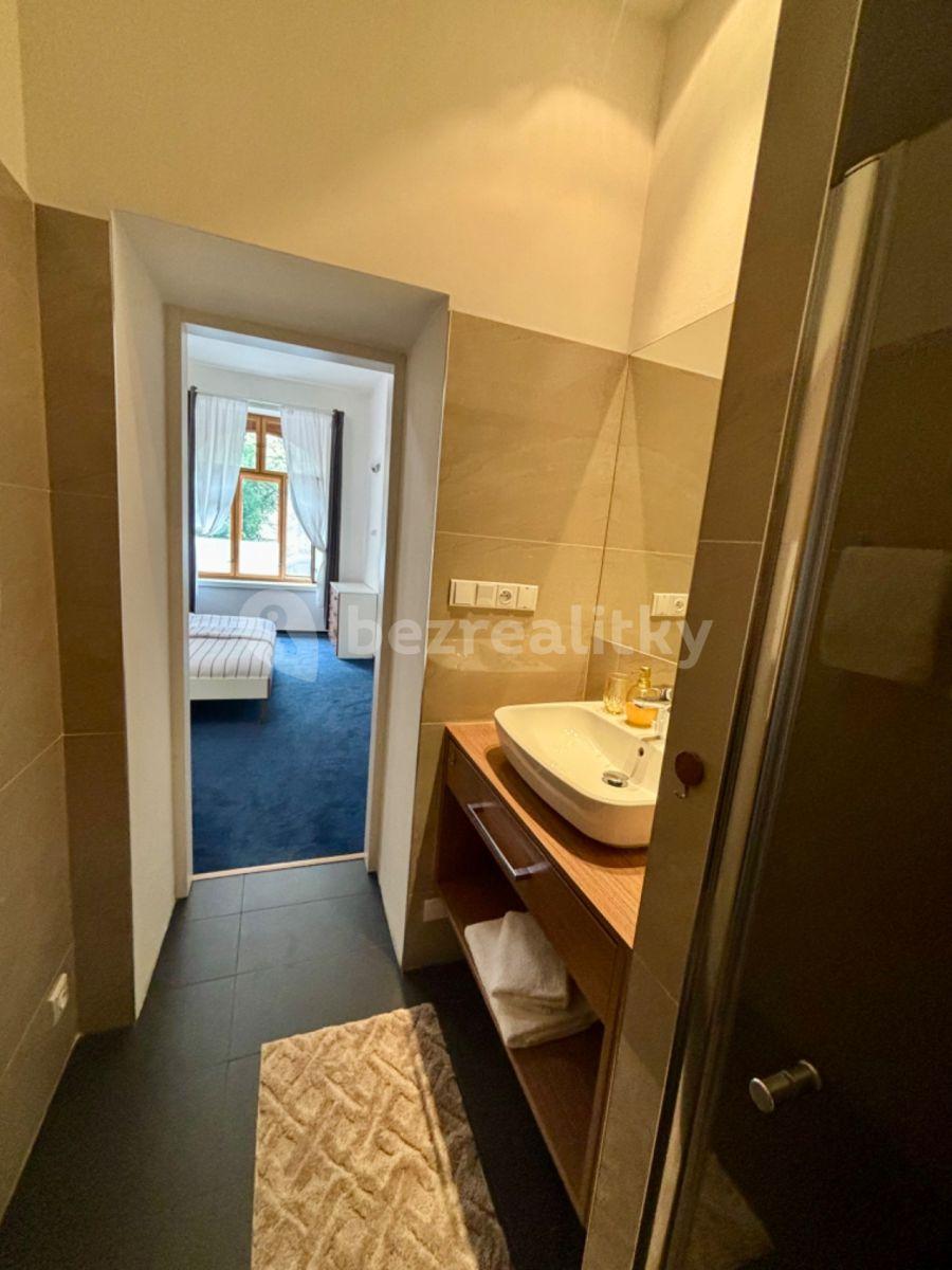 Pronájem bytu 2+kk 52 m², U Milosrdných, Praha, Praha