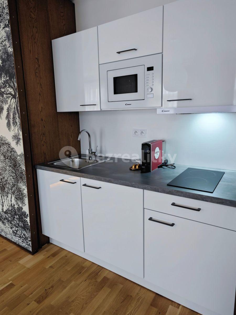 Pronájem bytu 1+kk 45 m², Petrská, Praha, Praha