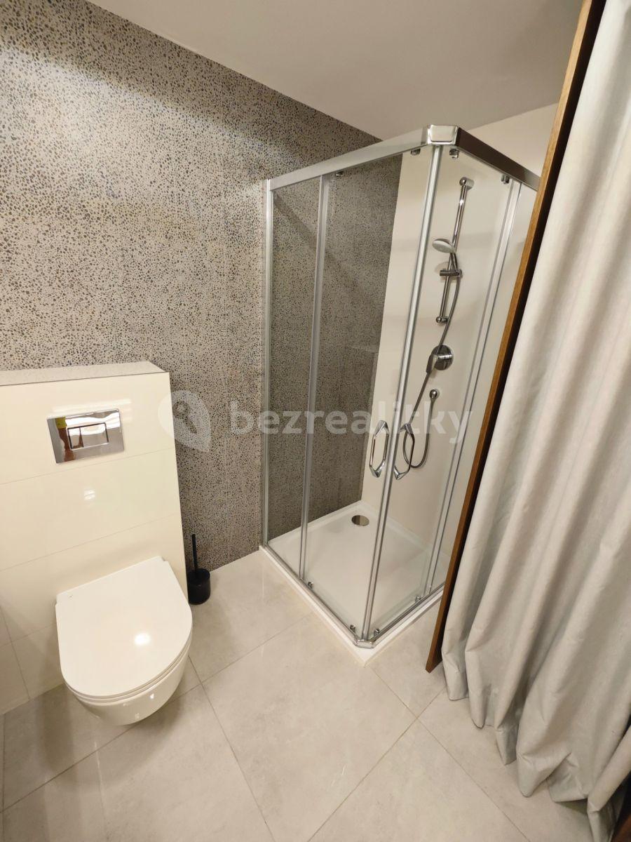 Pronájem bytu 1+kk 45 m², Petrská, Praha, Praha