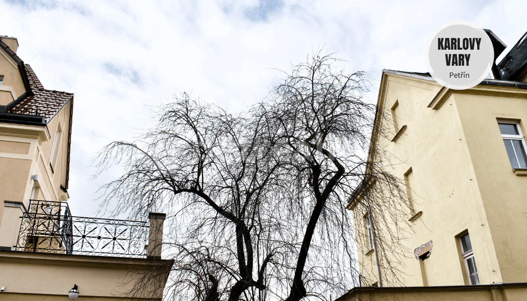 Pronájem bytu 2+kk 45 m², Petřín, Karlovy Vary, Karlovarský kraj