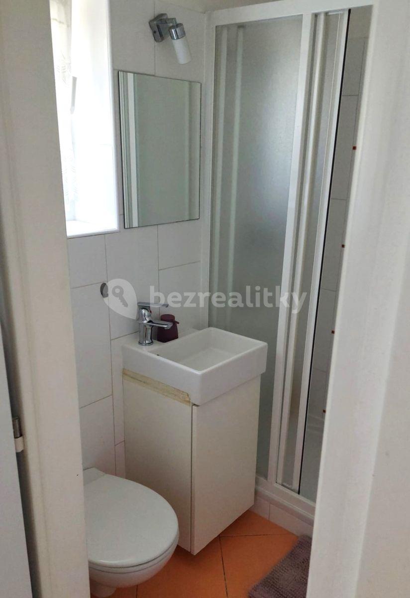 Pronájem bytu 1+kk 23 m², U Zahradního města, Praha, Praha