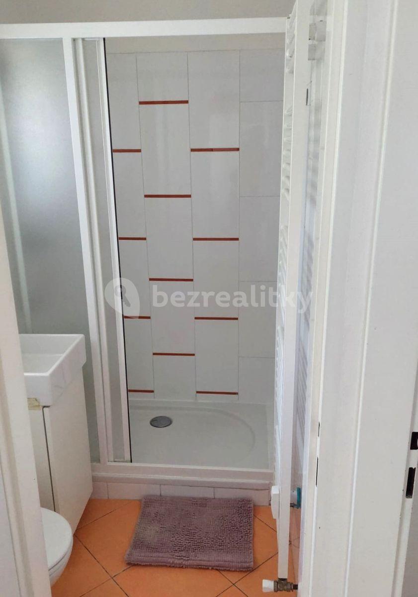 Pronájem bytu 1+kk 23 m², U Zahradního města, Praha, Praha