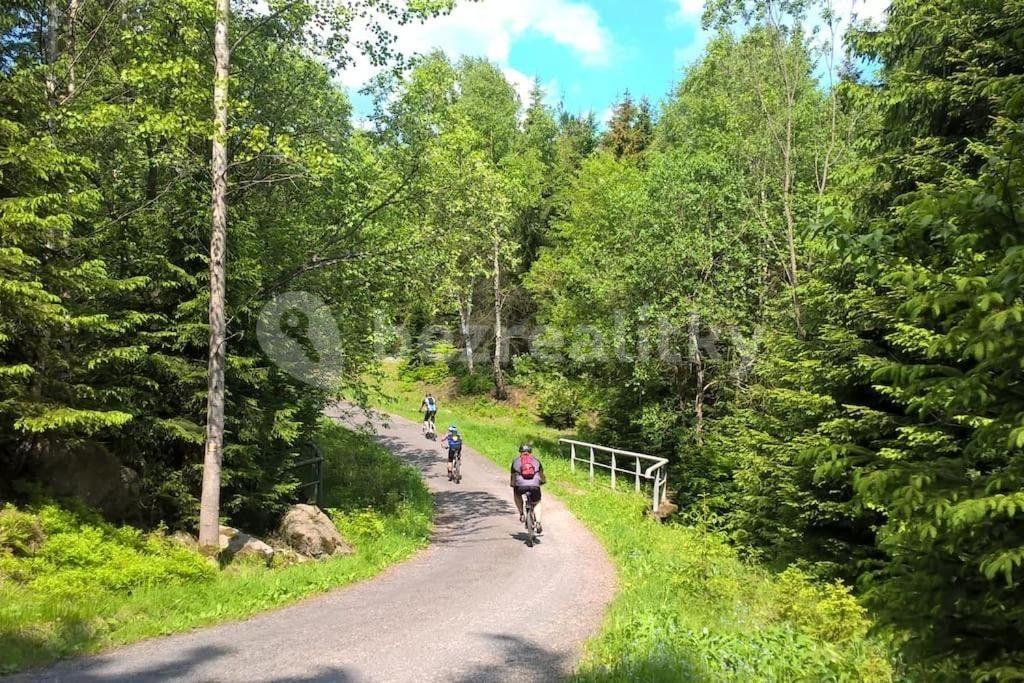 Prodej domu 700 m², pozemek 622 m², Josefův Důl, Liberecký kraj