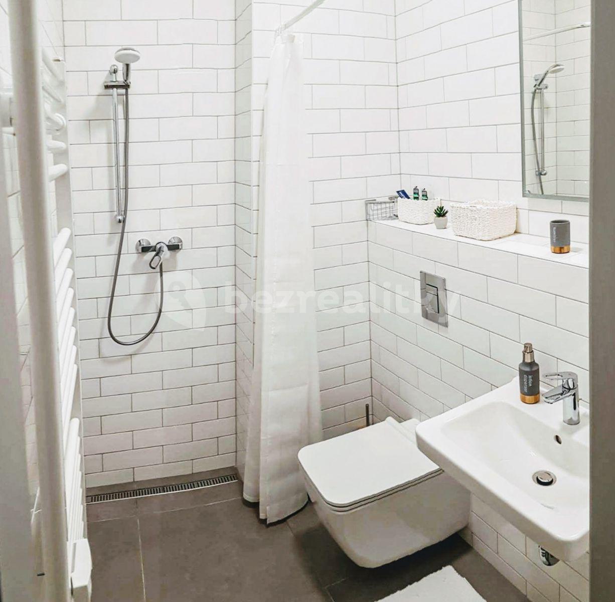 Pronájem bytu 1+kk 22 m², Vlhká, Brno, Jihomoravský kraj