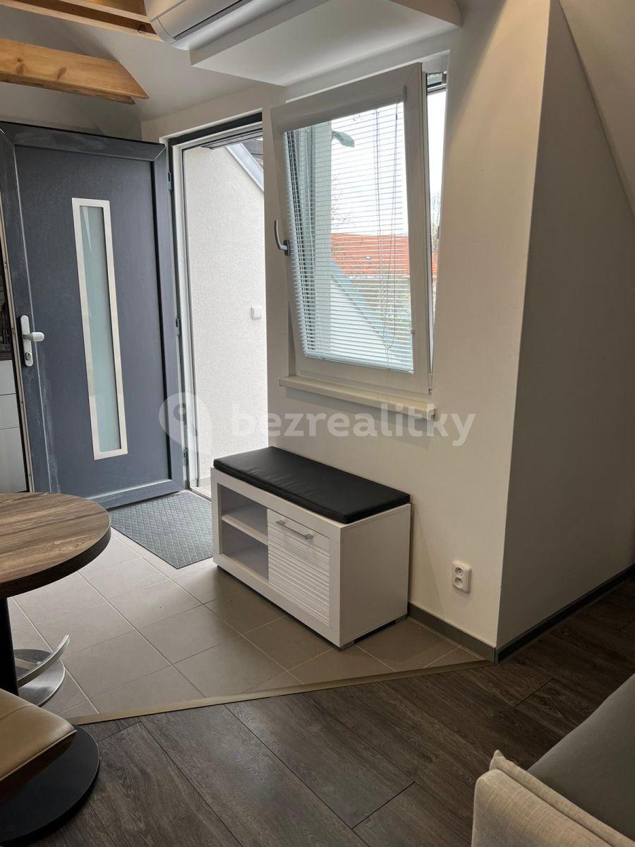 Pronájem bytu 1+kk 45 m², U Svodnice, Praha, Praha