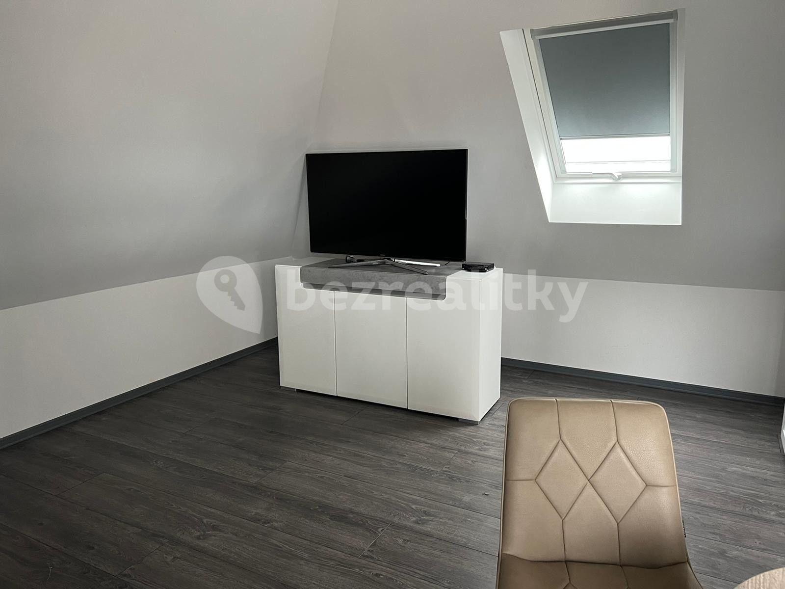 Pronájem bytu 1+kk 45 m², U Svodnice, Praha, Praha