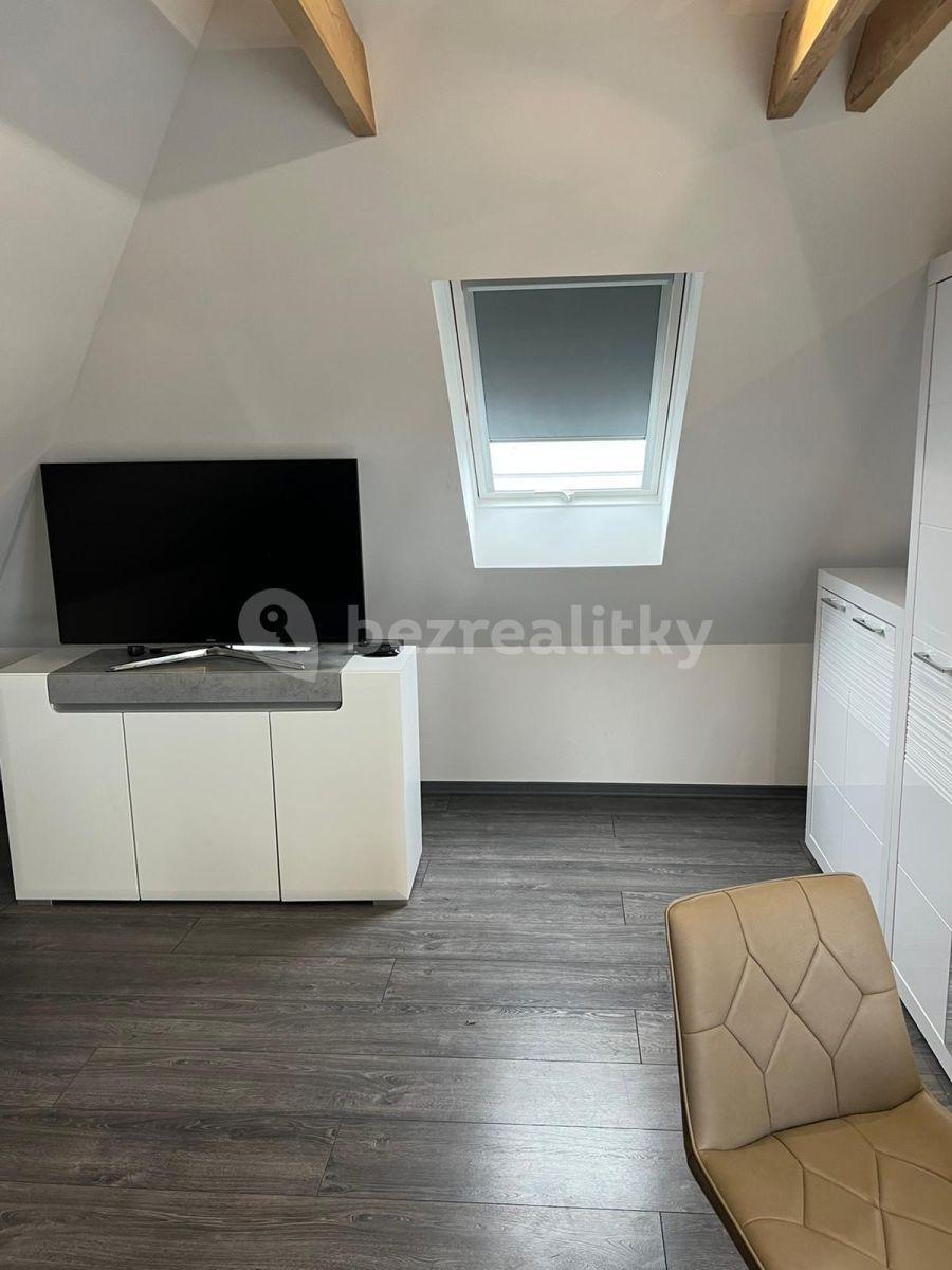 Pronájem bytu 1+kk 45 m², U Svodnice, Praha, Praha