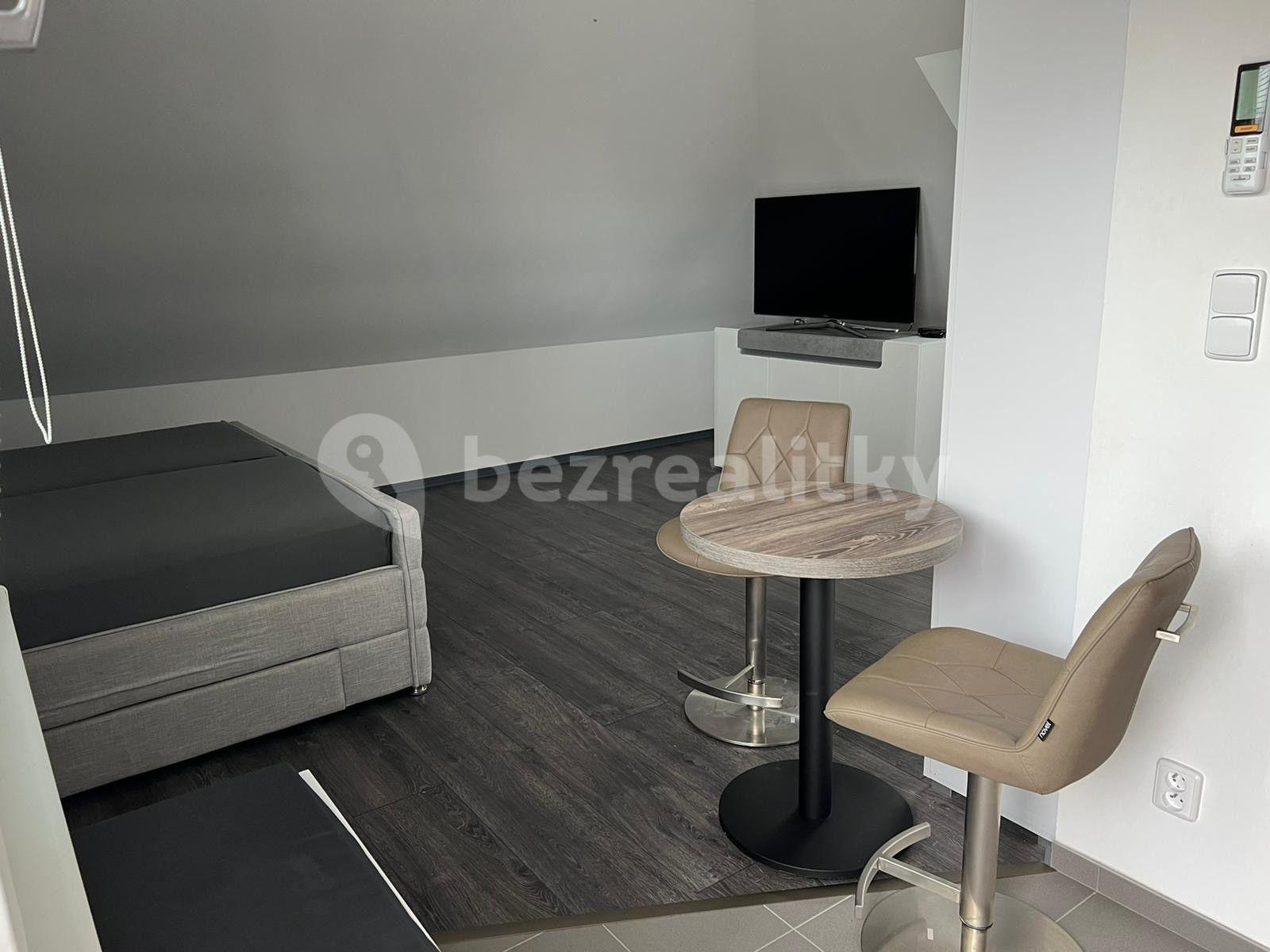 Pronájem bytu 1+kk 45 m², U Svodnice, Praha, Praha