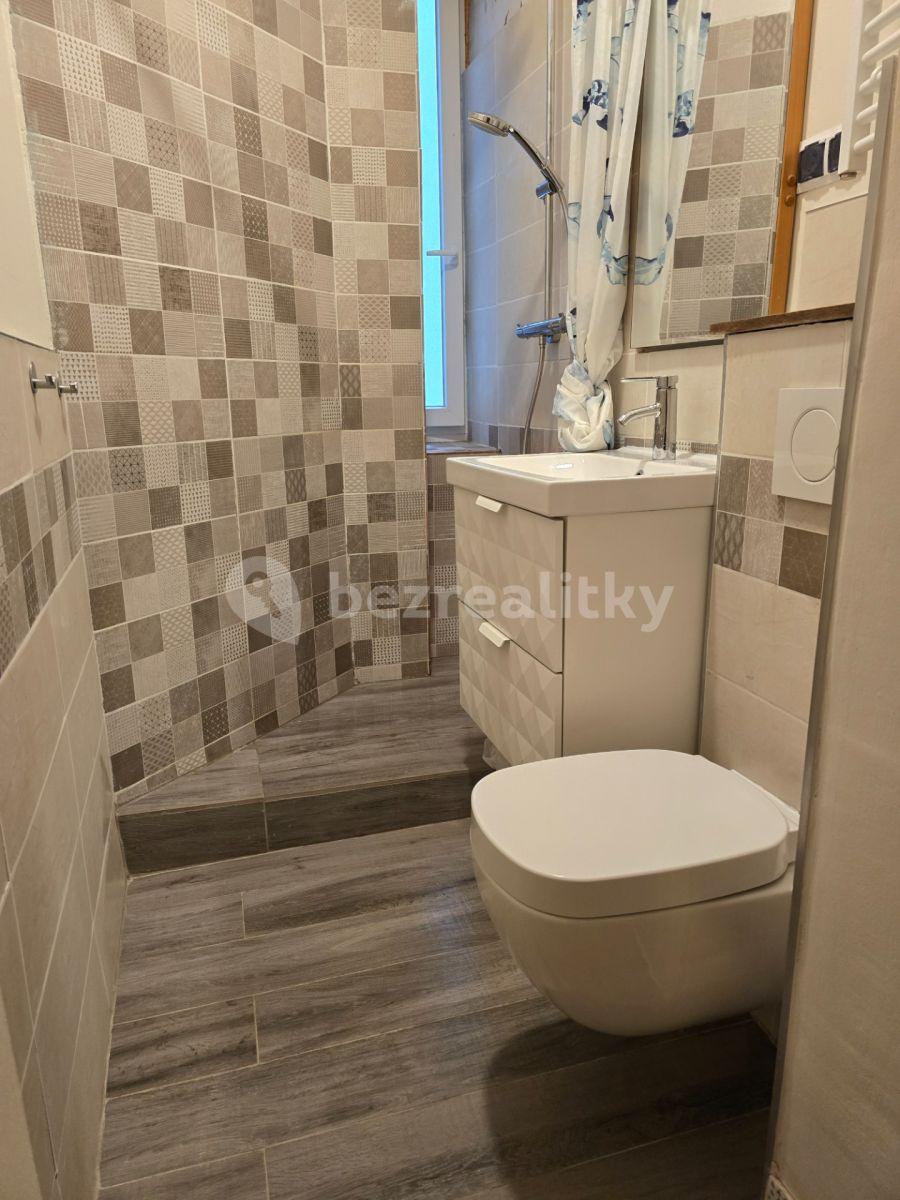 Pronájem bytu 2+1 58 m², U Průhonu, Praha, Praha