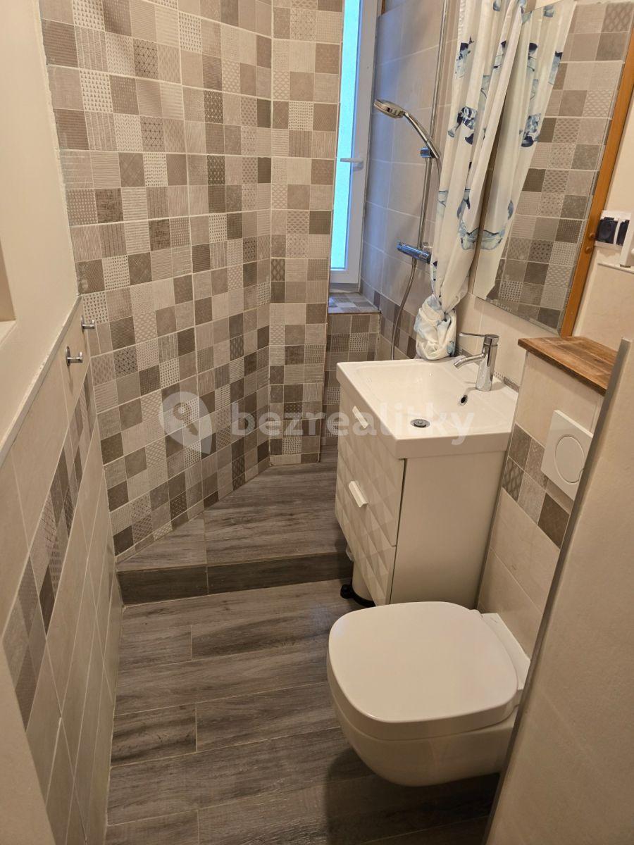 Pronájem bytu 2+1 58 m², U Průhonu, Praha, Praha