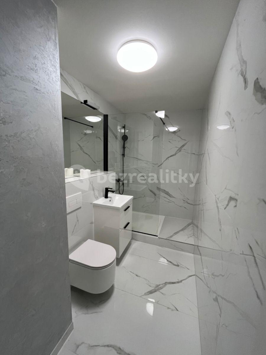 Pronájem bytu 2+kk 57 m², Dělnická, Praha, Praha