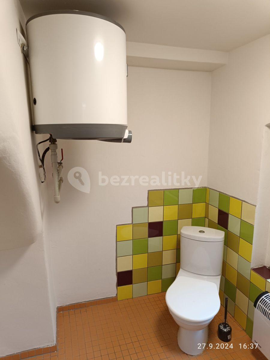 Pronájem bytu 1+kk 35 m², Nebužely, Středočeský kraj