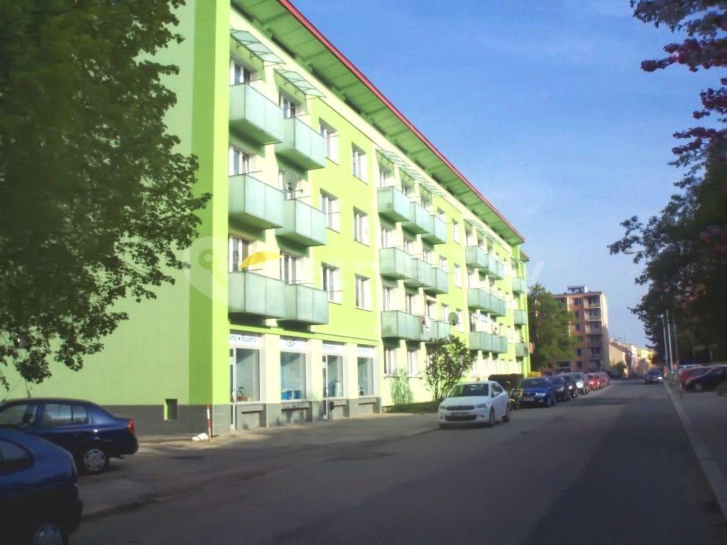 Pronájem bytu 2+1 57 m², Mánesova, Brno, Jihomoravský kraj