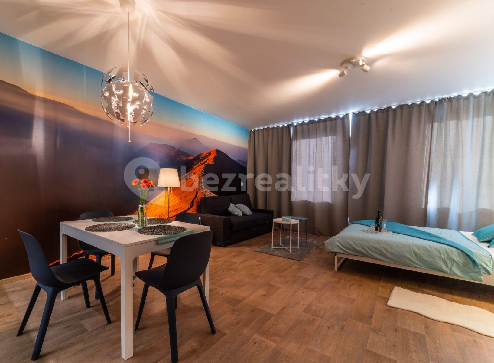 Pronájem bytu 1+kk 46 m², Kobližná, Brno, Jihomoravský kraj