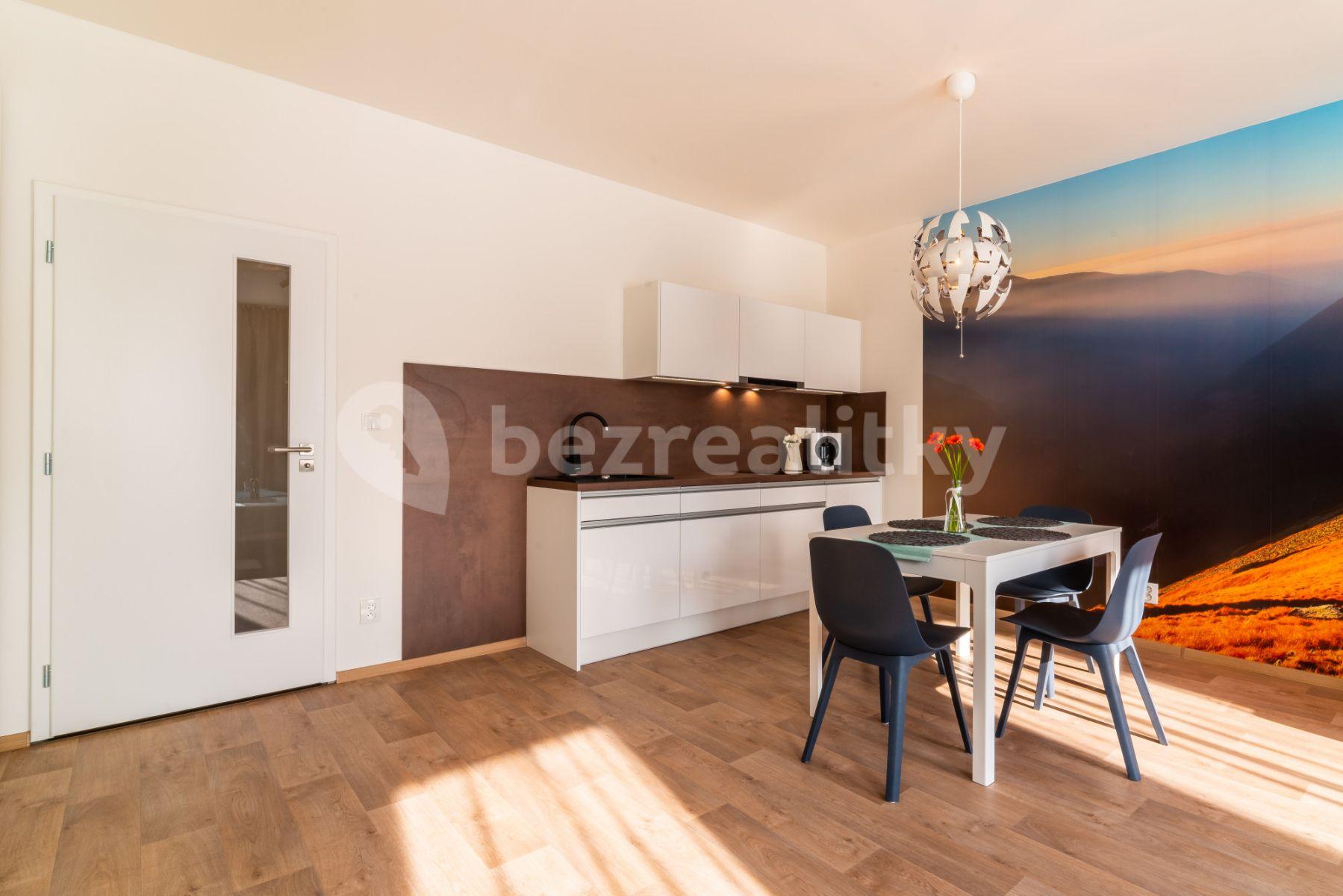 Pronájem bytu 1+kk 46 m², Kobližná, Brno, Jihomoravský kraj