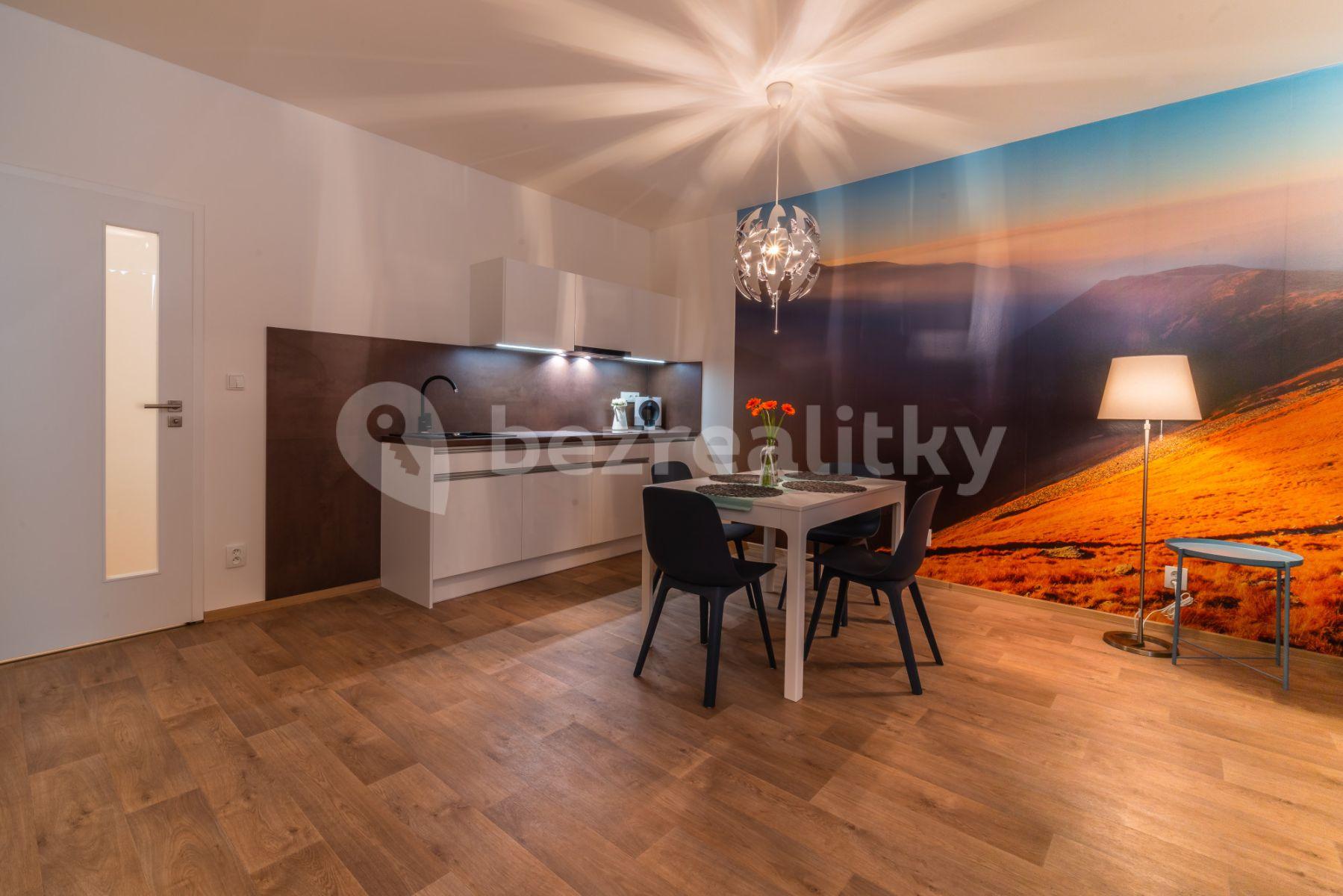 Pronájem bytu 1+kk 46 m², Kobližná, Brno, Jihomoravský kraj