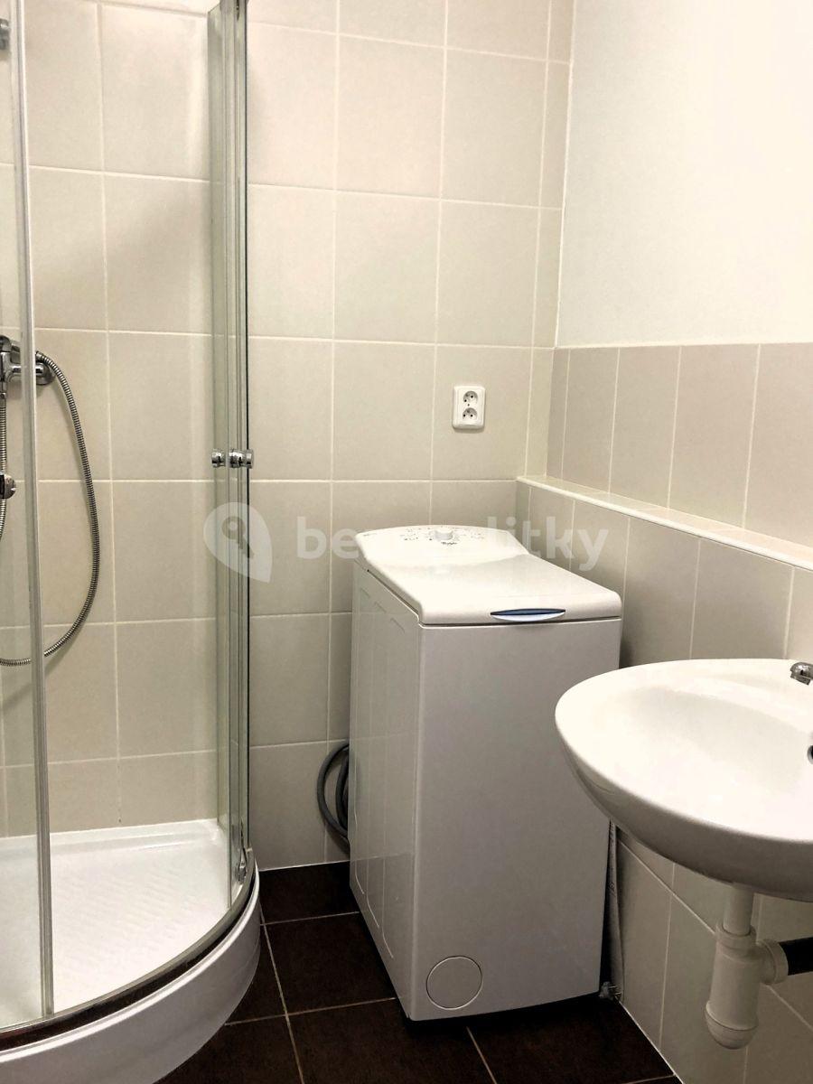 Pronájem bytu 1+kk 30 m², Botevova, Praha, Praha