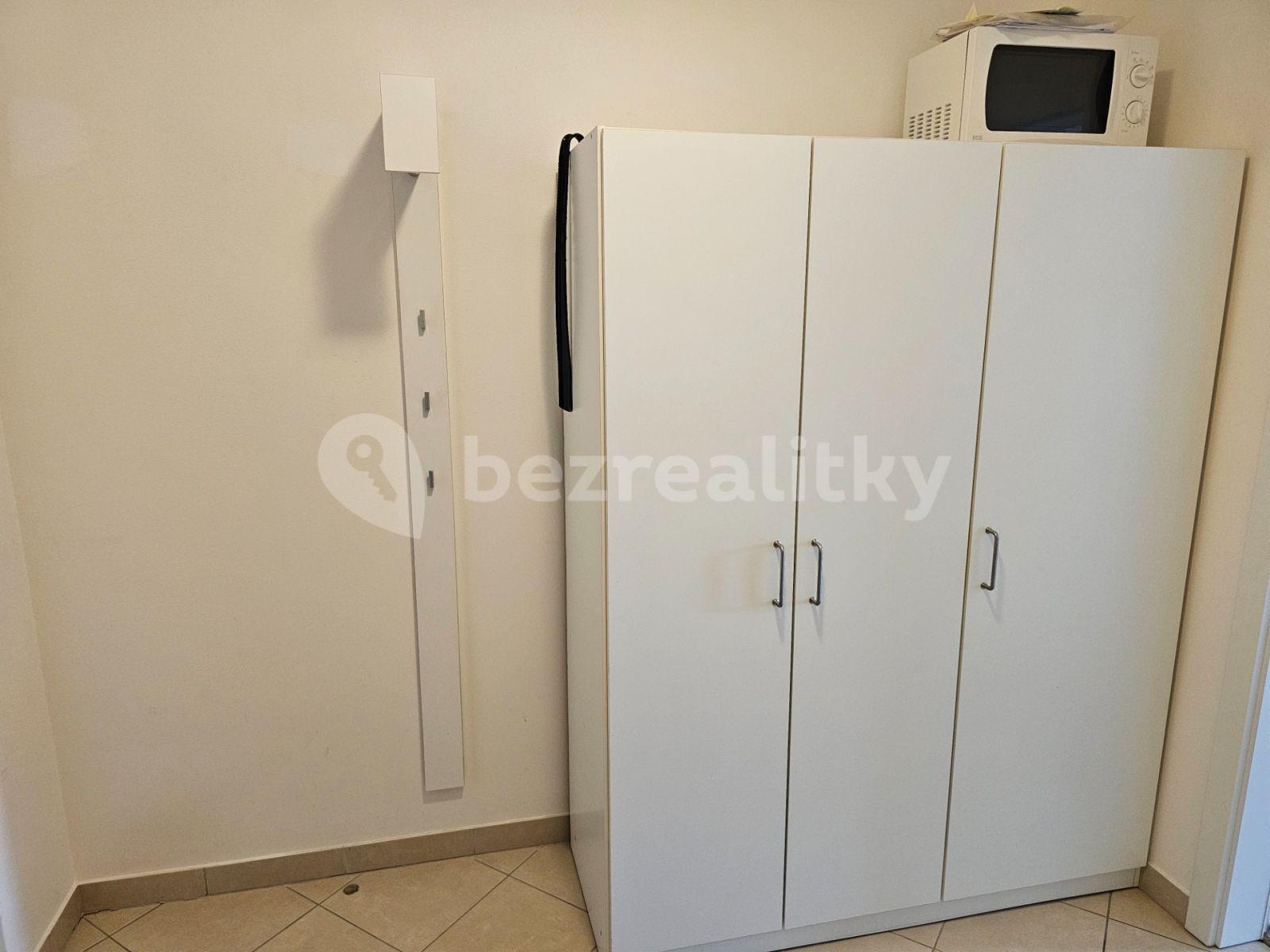 Pronájem bytu 1+kk 30 m², Hlučkova, Praha, Praha