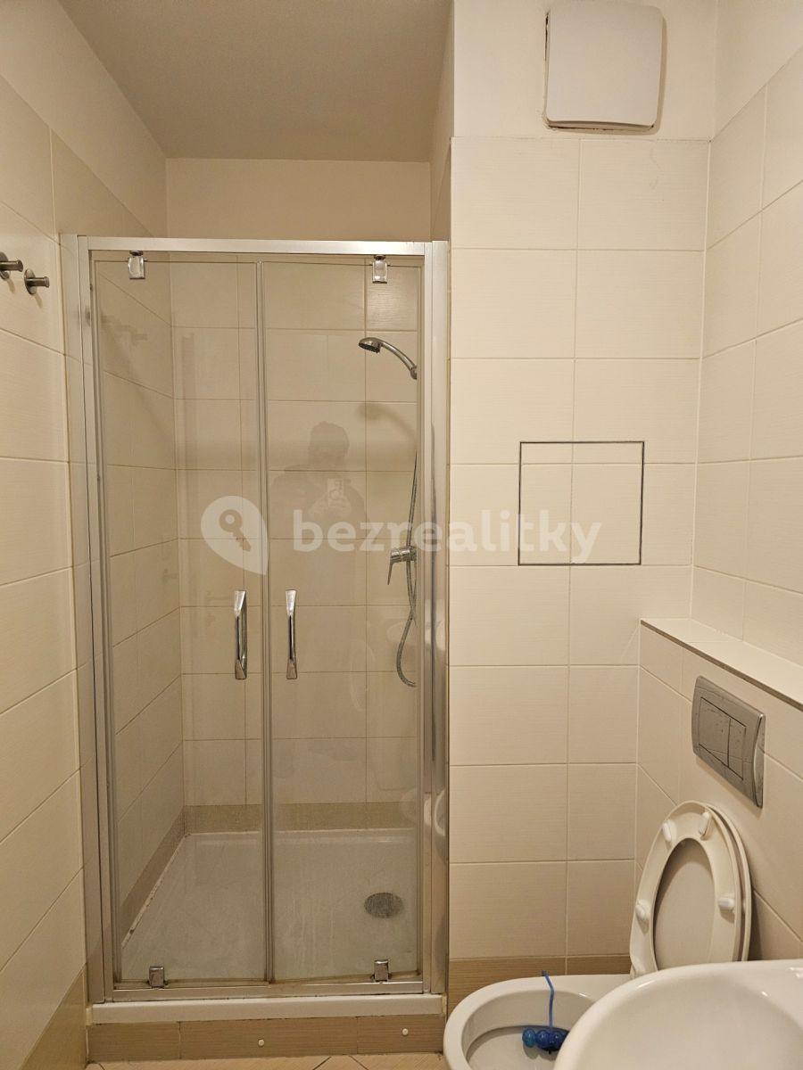 Pronájem bytu 1+kk 30 m², Hlučkova, Praha, Praha