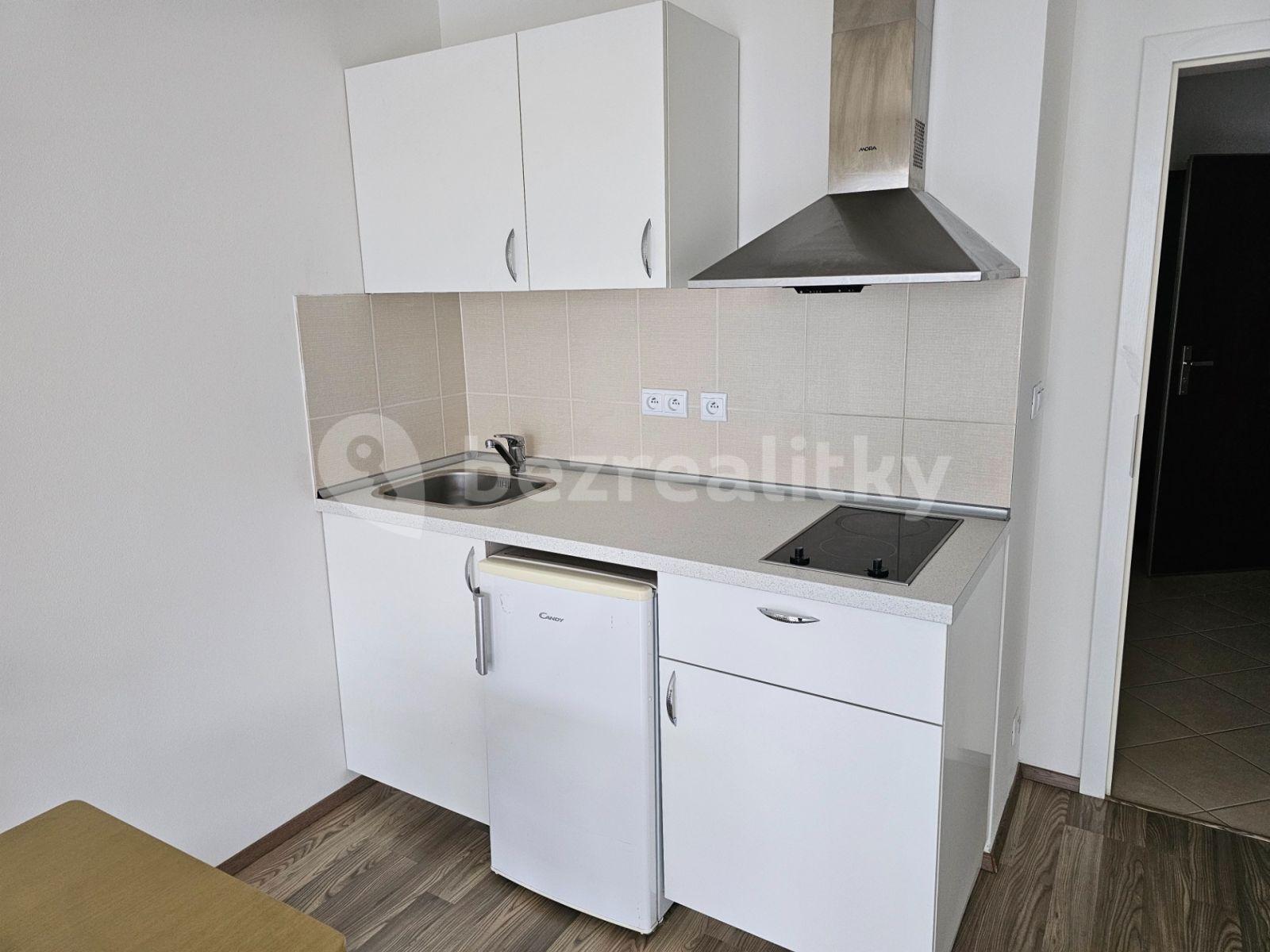 Pronájem bytu 1+kk 30 m², Hlučkova, Praha, Praha