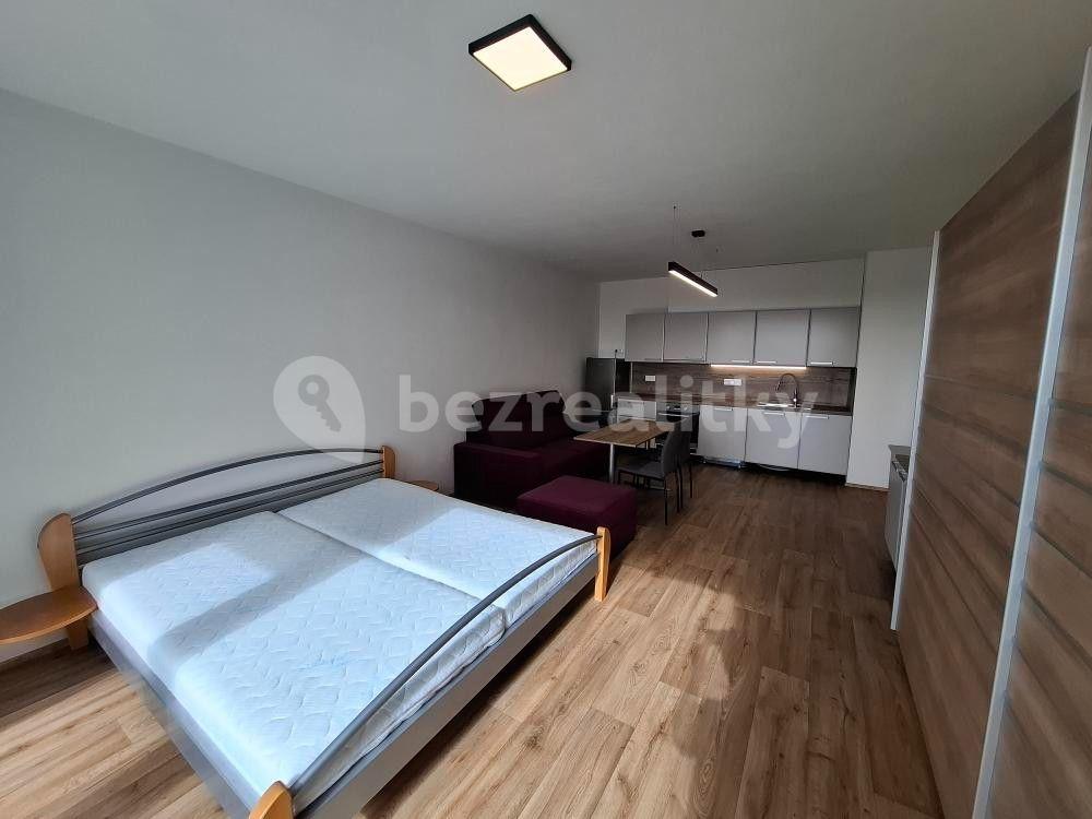 Pronájem bytu 1+kk 40 m², Řepova, Brno, Jihomoravský kraj