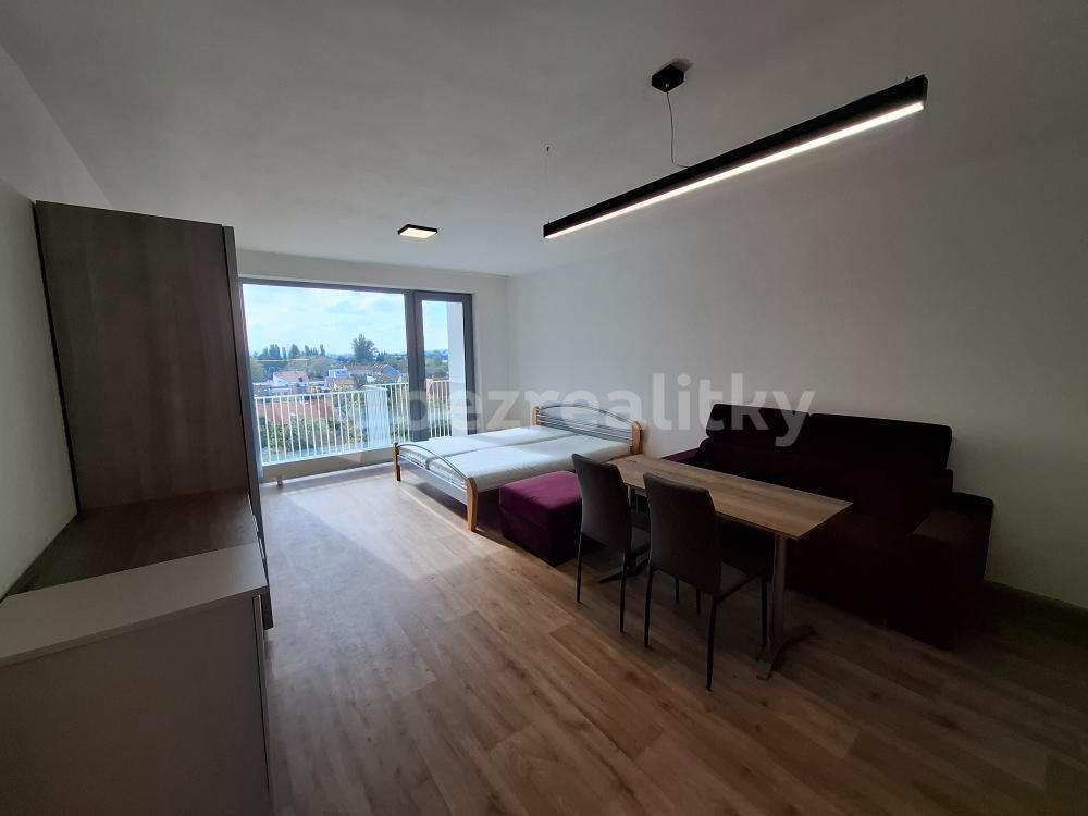 Pronájem bytu 1+kk 40 m², Řepova, Brno, Jihomoravský kraj