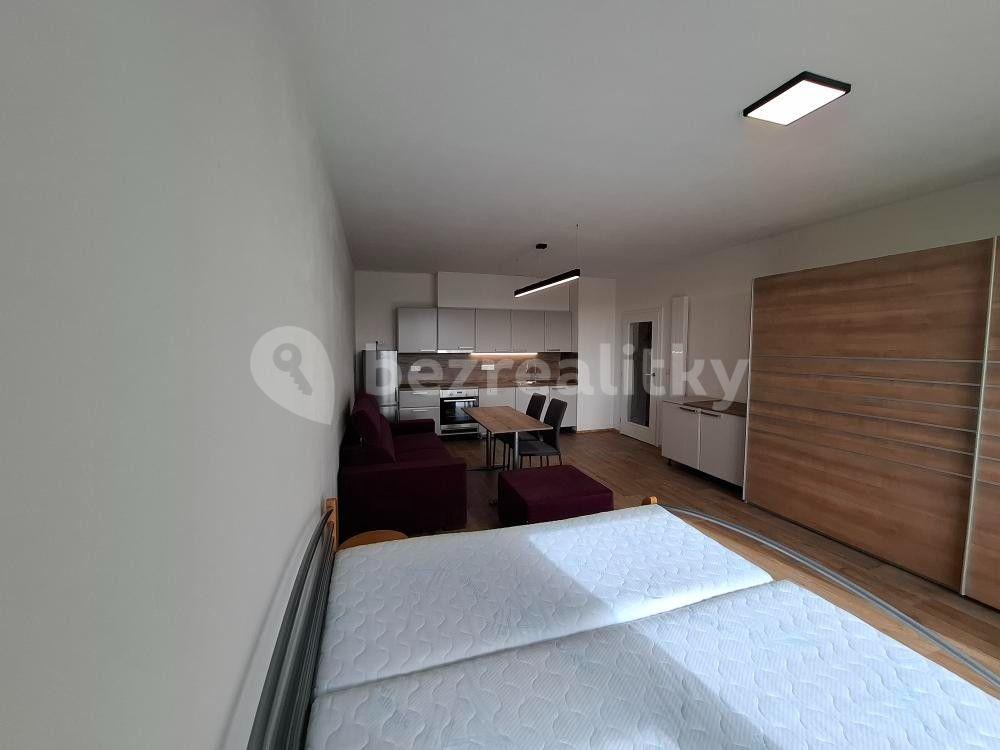 Pronájem bytu 1+kk 40 m², Řepova, Brno, Jihomoravský kraj