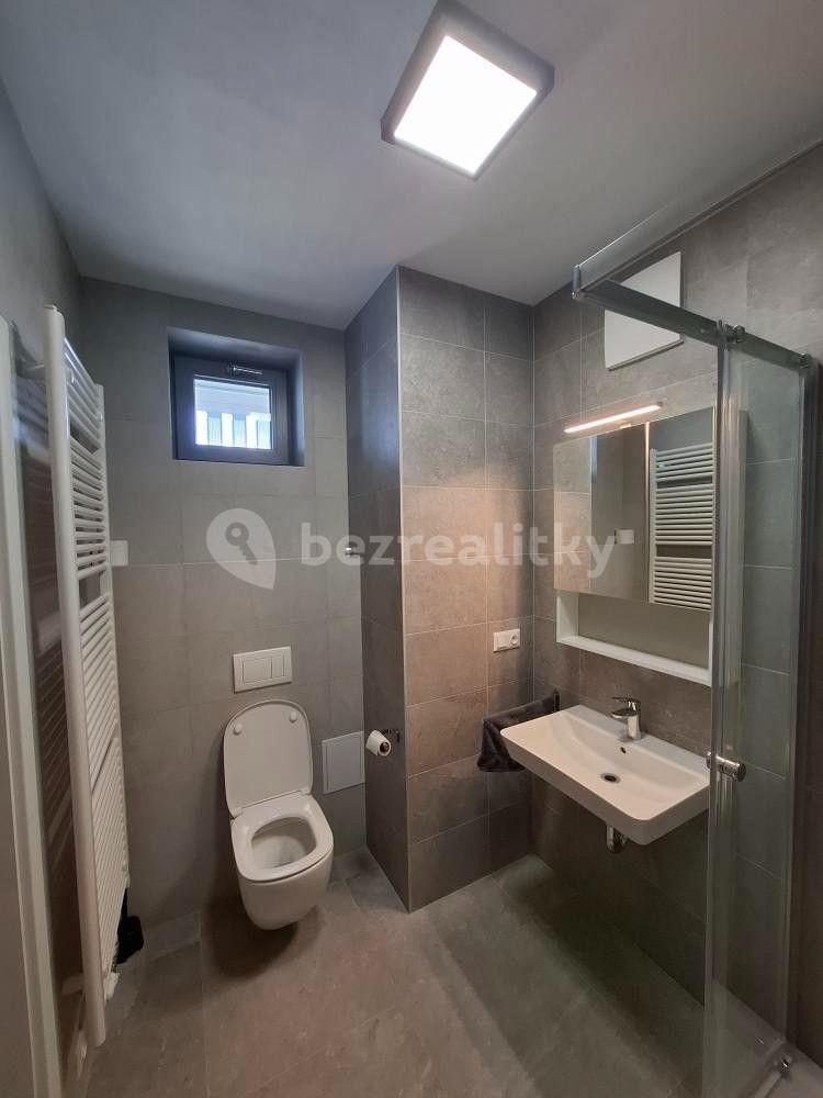 Pronájem bytu 1+kk 40 m², Řepova, Brno, Jihomoravský kraj