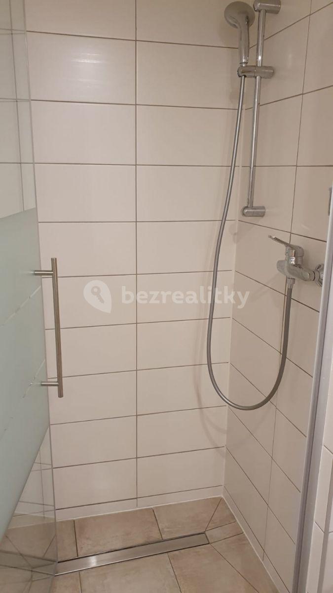 Pronájem bytu 3+1 46 m², Opatovická, Praha, Praha