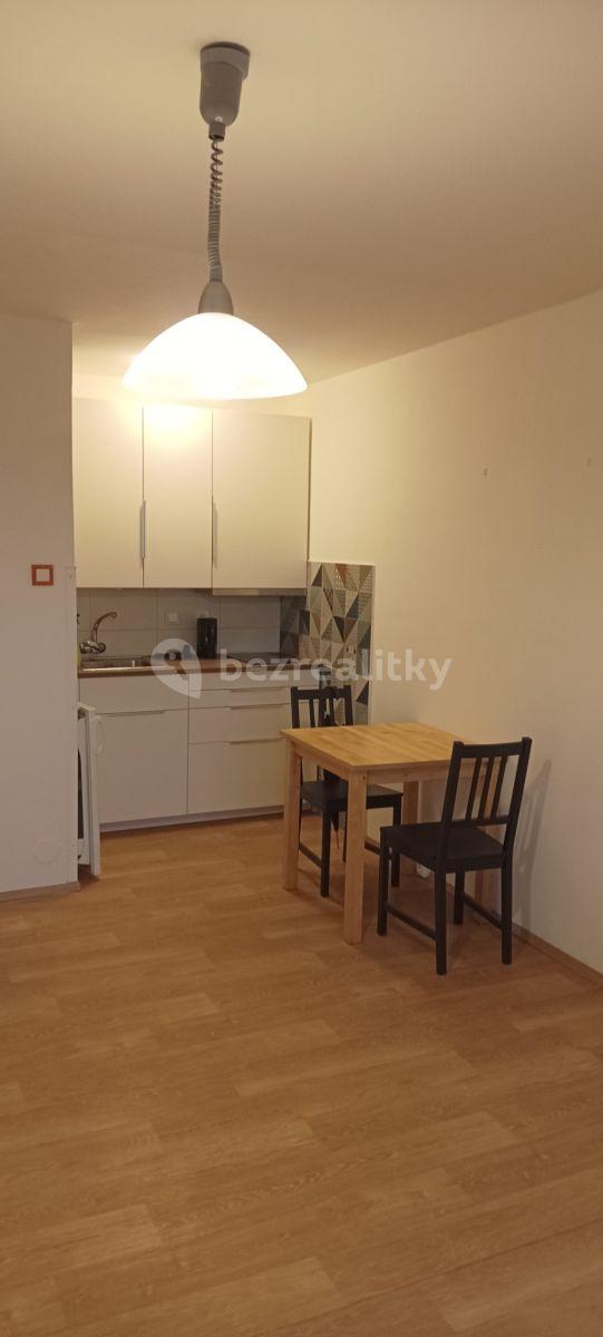 Pronájem bytu 1+kk 27 m², Hlavatého, Praha, Praha