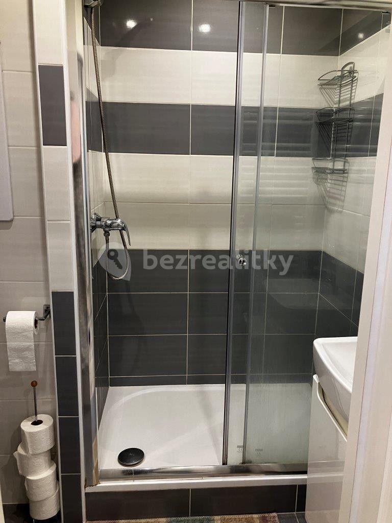 Pronájem bytu 2+kk 47 m², Štichova, Praha, Praha